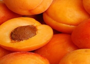 Why should not eat this summer fruit excessively?