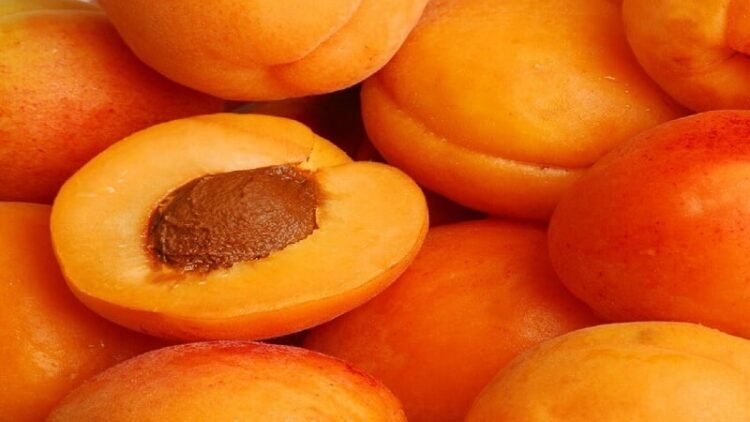 Why should not eat this summer fruit excessively?