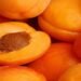 Why should not eat this summer fruit excessively?