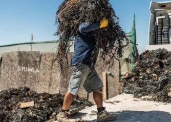 Fisherman’s Day: strengthening those who feed Peru by Antonio Olórtegui