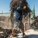 Fisherman’s Day: strengthening those who feed Peru by Antonio Olórtegui