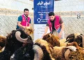 17 thousand beneficiaries of the sacrifice project