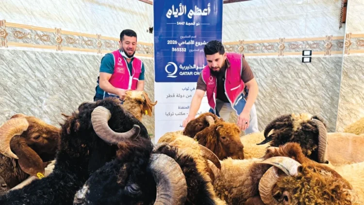 17 thousand beneficiaries of the sacrifice project
