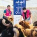 17 thousand beneficiaries of the sacrifice project