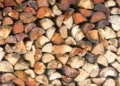 The most expensive firewood