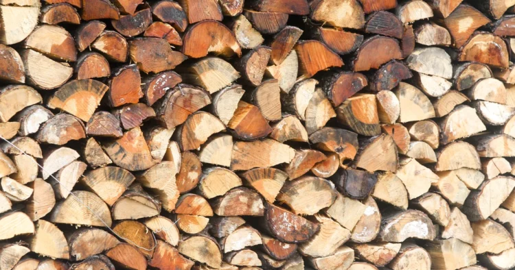 The most expensive firewood