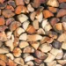 The most expensive firewood