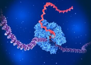 Cancer vaccines based on mRNA advance, despite US cuts