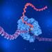 Cancer vaccines based on mRNA advance, despite US cuts