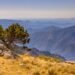 Jabal Shams stays cool while Oman swelters