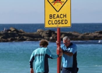 Woman seriously injured in shark attack at Sydney beach