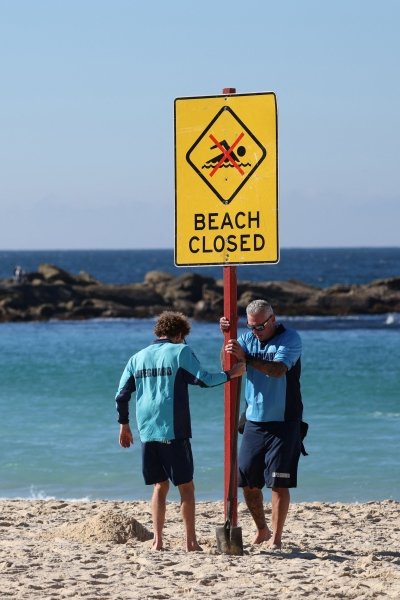 Woman seriously injured in shark attack at Sydney beach