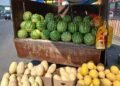 Watermelons and melons from Uzbekistan are tested for nitrates and nitrites, – Ministry of Agriculture