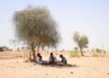 India learns to live with hotter summers