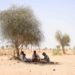 India learns to live with hotter summers