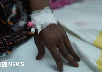A brutal gang rape in India revives painful memories of 2012 Delhi assaultThe case from Begusarai in Bihar comes close in brutality to that inflicted on a woman during a sexual assault in 2012.12 hrs agoAsia