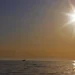 Extreme heat causes billions in economic damage