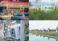 TOP 300: which are the biggest companies and how successful are they?