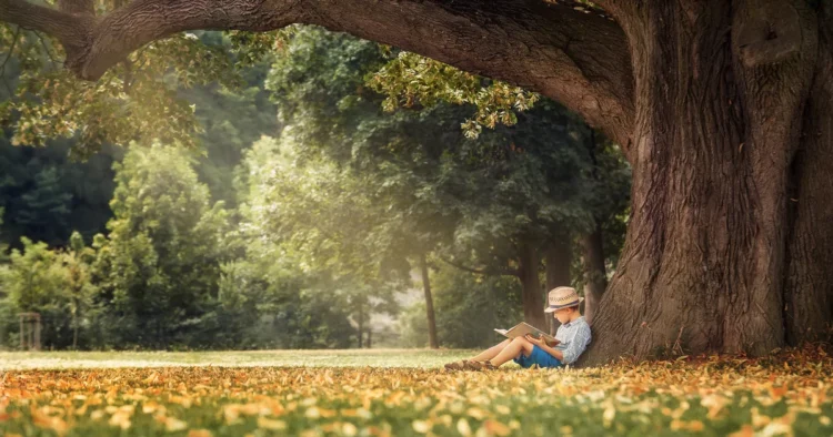 With a book under the pines