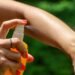Mosquitoes learn to like deet – experts offer new advice