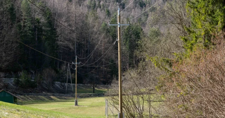 With European funds to a more powerful distribution network