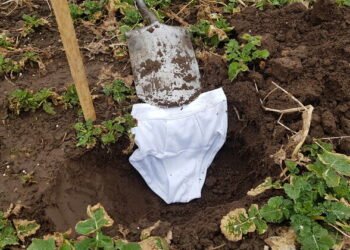 Estonian museums to bury underpants to assess soil quality | News