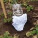 Estonian museums to bury underpants to assess soil quality | News