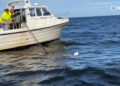 Nearly 500 abandoned fishing nets pulled from Estonian side of Lake Peipus | News