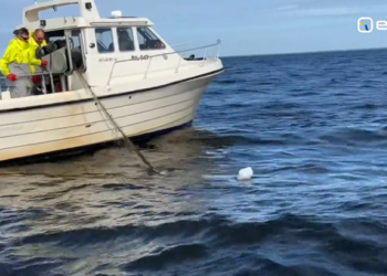 Nearly 500 abandoned fishing nets pulled from Estonian side of Lake Peipus | News