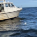 Nearly 500 abandoned fishing nets pulled from Estonian side of Lake Peipus | News
