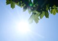 Heatwave raises ozone to dangerous levels in central Switzerland