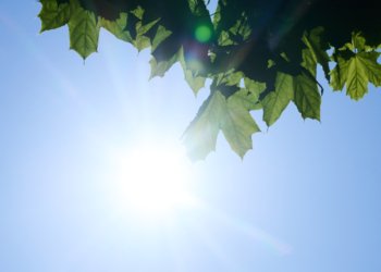 Heatwave raises ozone to dangerous levels in central Switzerland