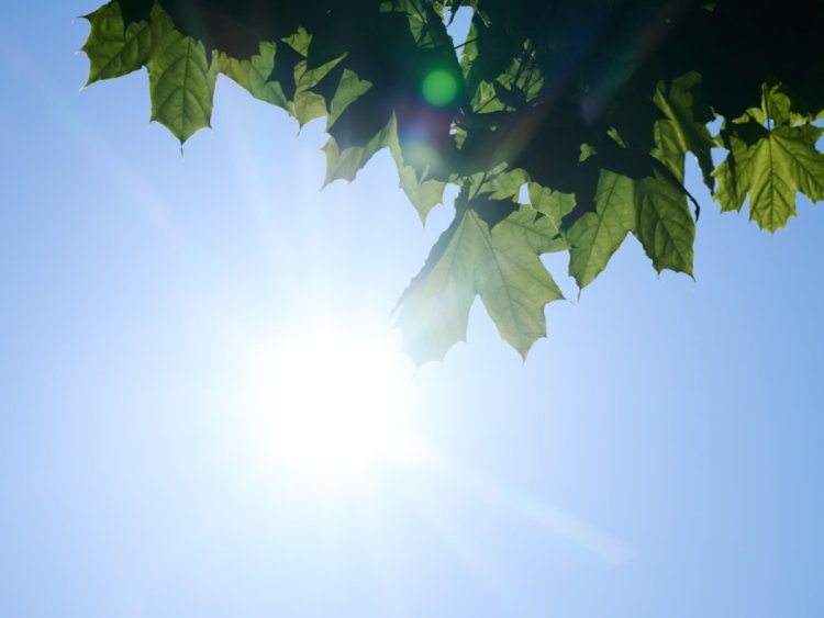 Heatwave raises ozone to dangerous levels in central Switzerland