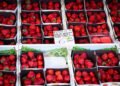 Few domestic strawberries on sale at Tallinn’s markets | News