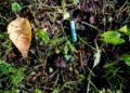 Handlers want disposable e‑cigarettes incinerated | News