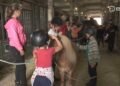 Children’s camp VAT relief pushed to July, leaving families paying more | News