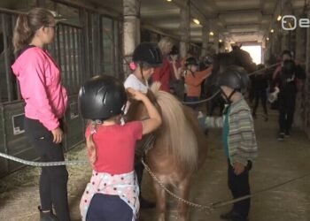 Children’s camp VAT relief pushed to July, leaving families paying more | News