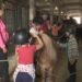Children’s camp VAT relief pushed to July, leaving families paying more | News