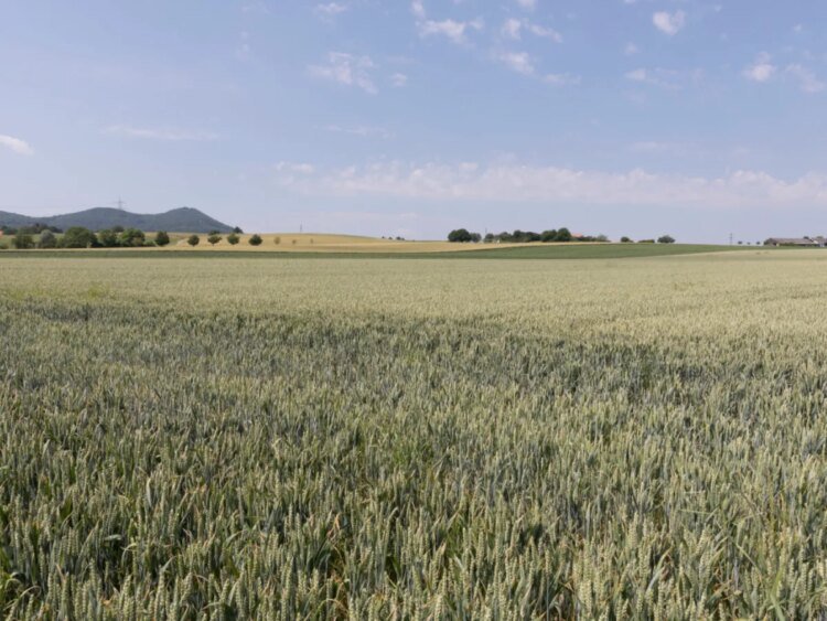 Swiss sustainable investments grew in 2025