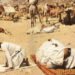 Al-Riyadh newspaper | The return of pilgrims…a joy documented by Mecca’s gifts