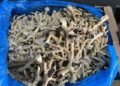 Two Vietnamese women charged in chicken feet smuggling worth US$13mil