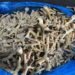 Two Vietnamese women charged in chicken feet smuggling worth US$13mil