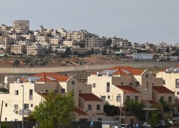 Zionist entity murders Palestinian man for trying to climb barrier