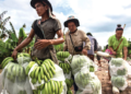 Laos, Cambodia deepen agricultural partnership, open new trade corridor to China