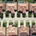 A solution to AI’s growing power demand: Homes