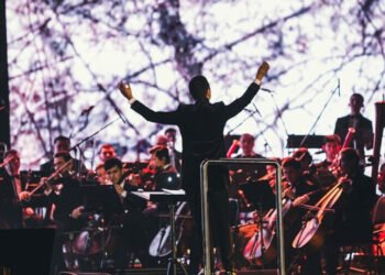 A wide range of benefits were announced for the field of culture, art and literature