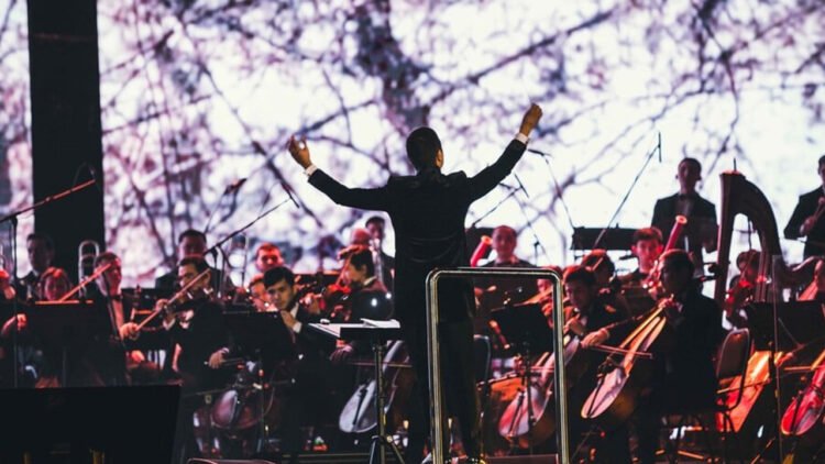 A wide range of benefits were announced for the field of culture, art and literature