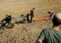 Israel and Iran halt their most direct confrontation since April – The Irish Times