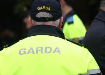 Concerns over staffing in An Garda Síochána; the rise of ‘free births’ in Ireland – The Irish Times