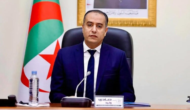 This is what Sadi said about the “Greens” qualifying for the World Cup and supporting the President of the Republic – Al-Shorouk Online